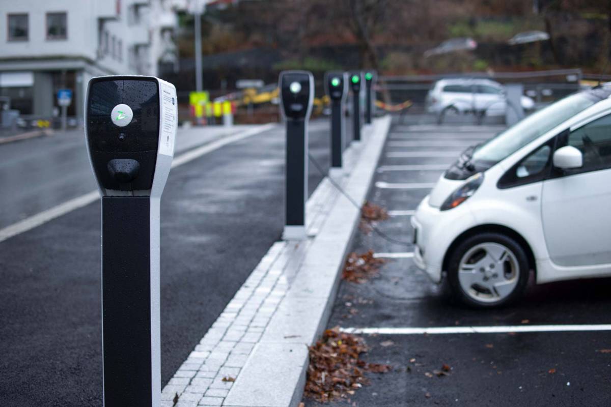 Zaptec Pro stander - Premium, Twin - Grå